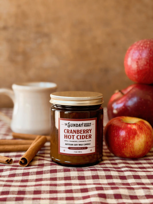 Cranberry Hot Cider Candle