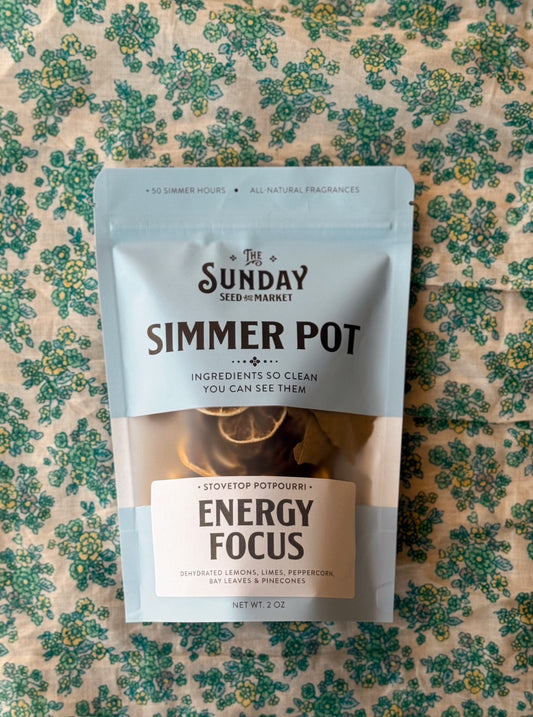 Energy Focus Simmer Pot | Lemon Lime Peppercorn Bay Leaves