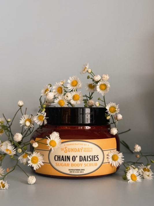 Chain O’ Daisies Sugar Body Scrub