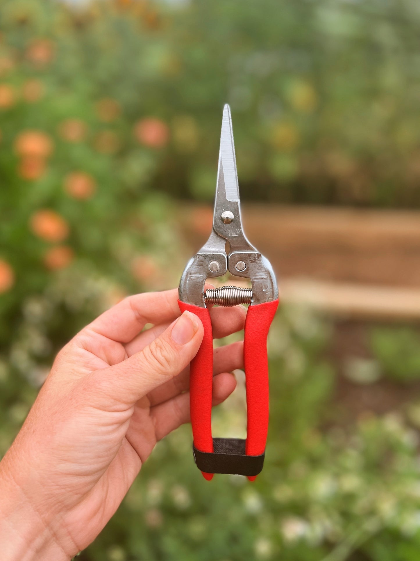 Classic Garden Shears