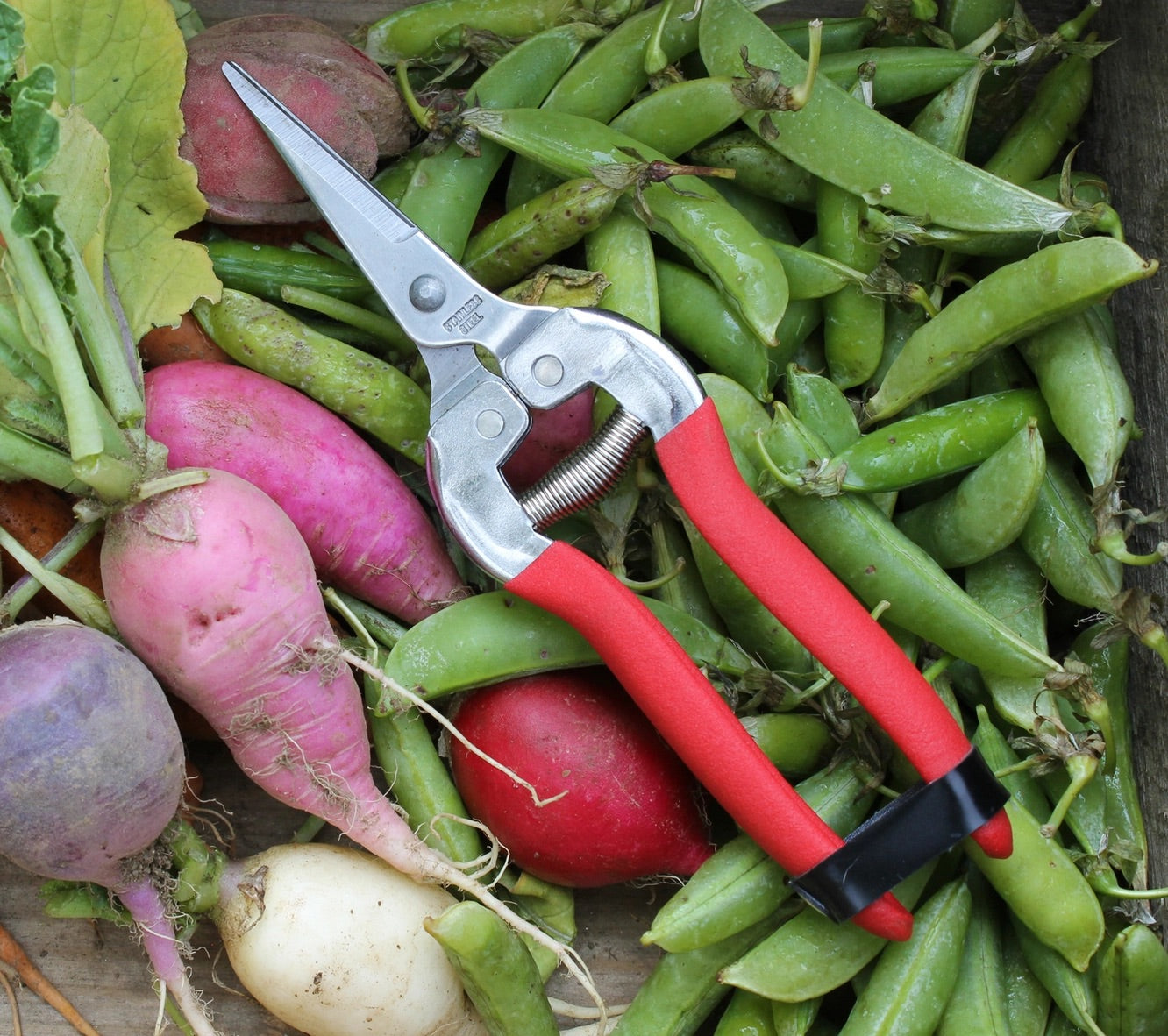 Classic Garden Shears