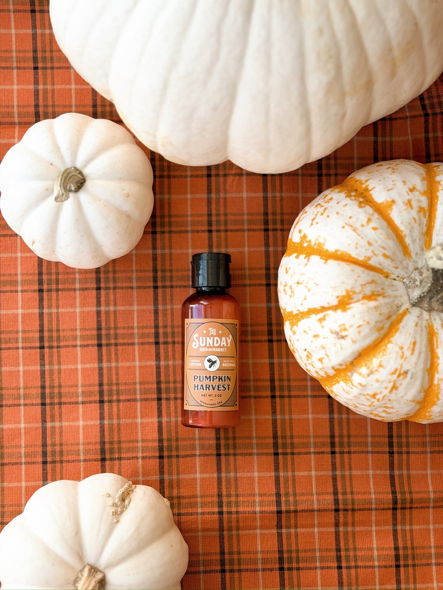 Seasonal Mini Beeswax Lotion