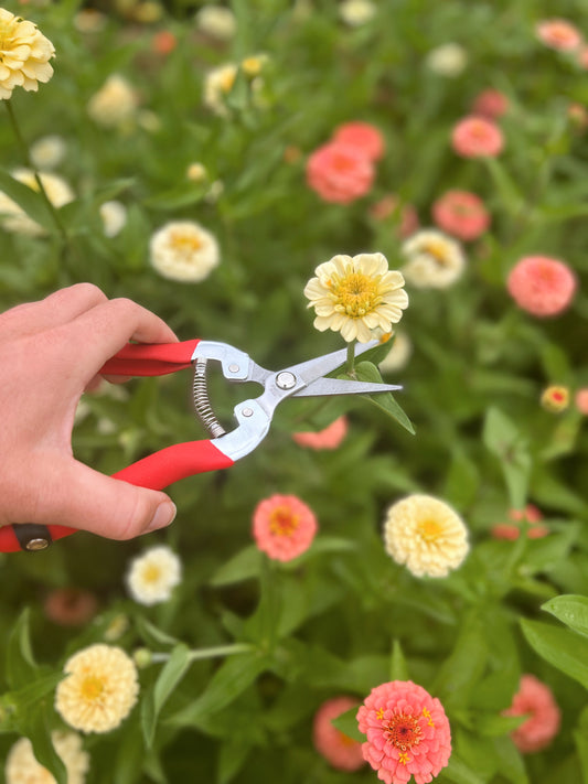 Classic Garden Shears
