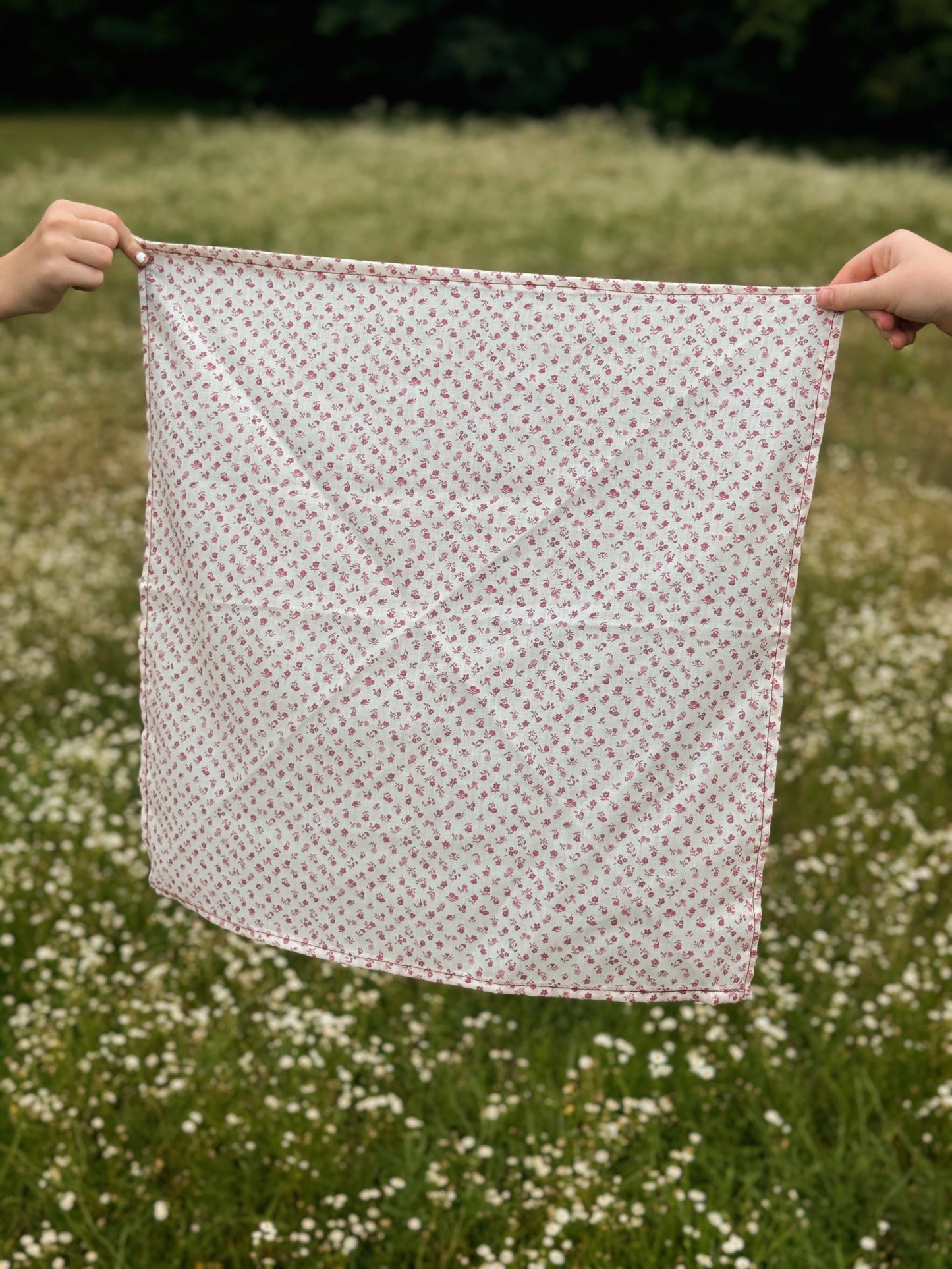 Sunday Bandana 07