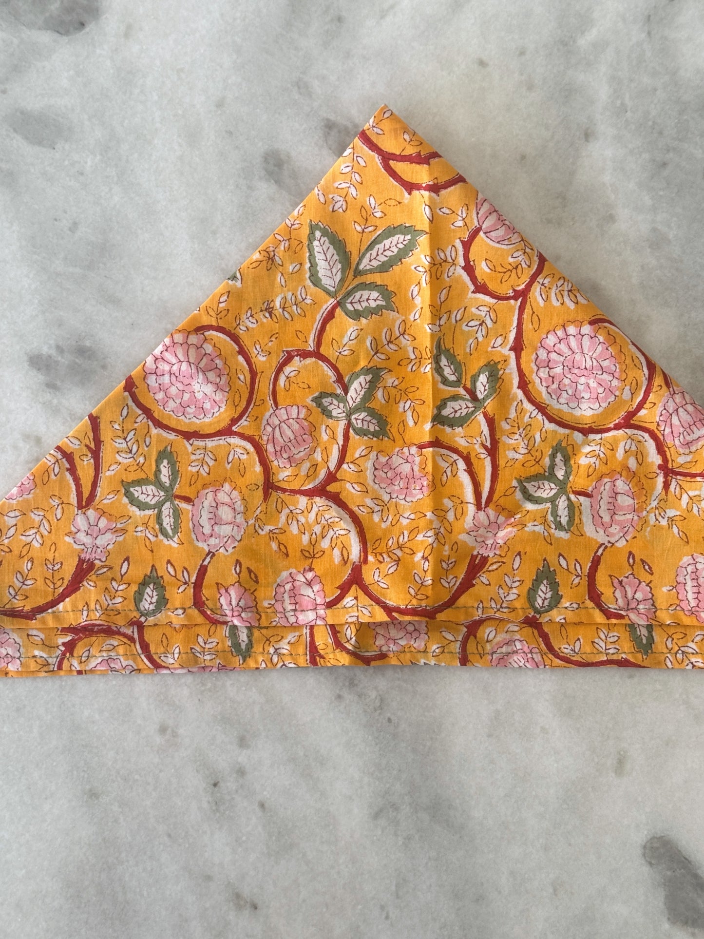 Sunday Bandana 16