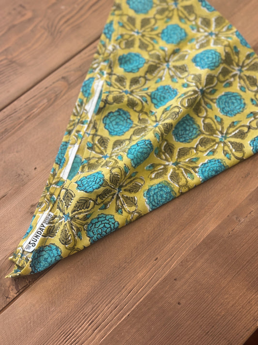 Sunday Bandana 17