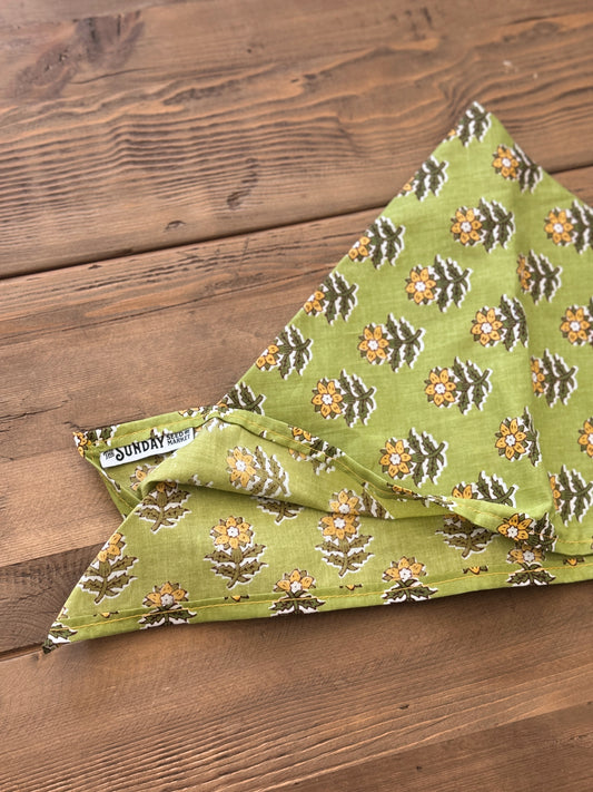 Sunday Bandana 18