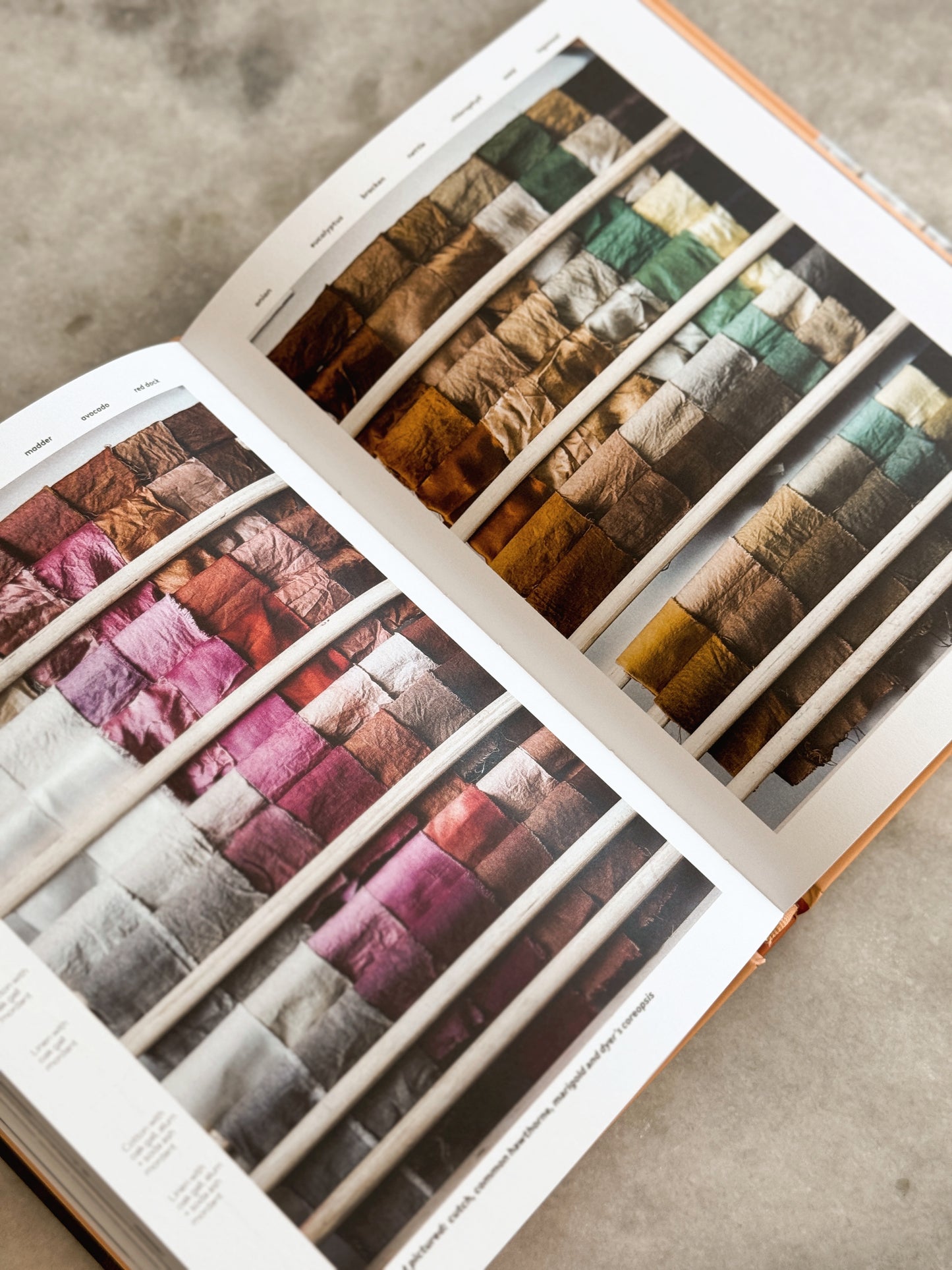 Botanical Dyes