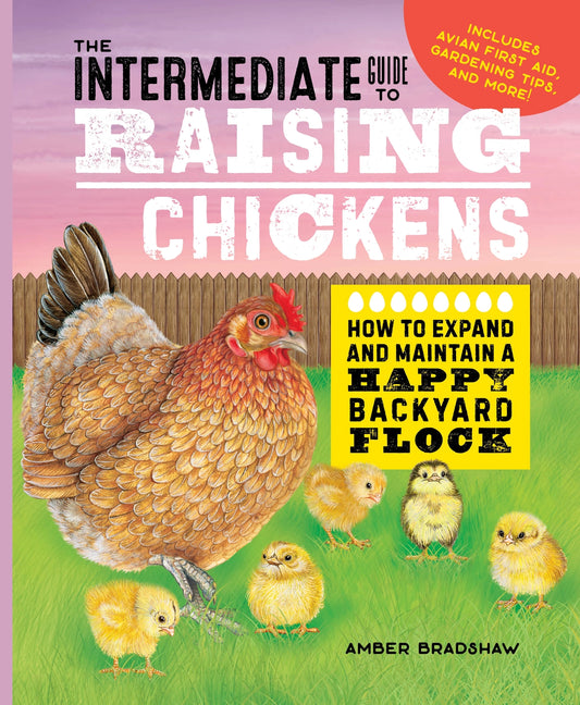Intermediate Guide to Raising Chickens