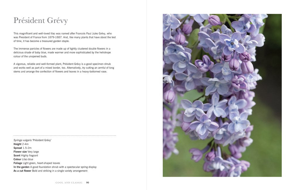 Lilacs: Beautiful Varieties for Home & Garden