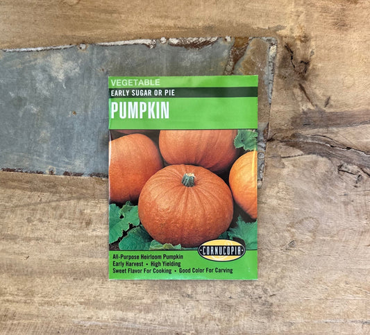 Early Sugar Pumpkin Seeds