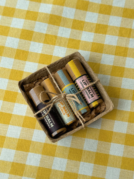 Natural Lip Balm Pack